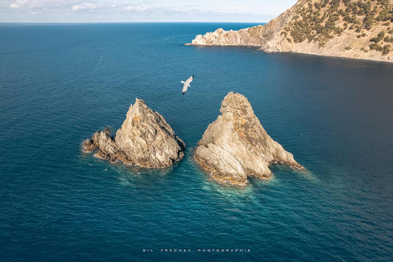 Le Soleil Residence La Fontaine Les Sablettes Plage La Seyne-sur-Mer Εξωτερικό φωτογραφία